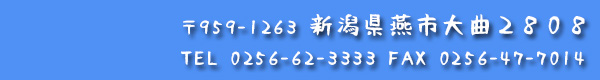 電話問合せ0256-62-3333